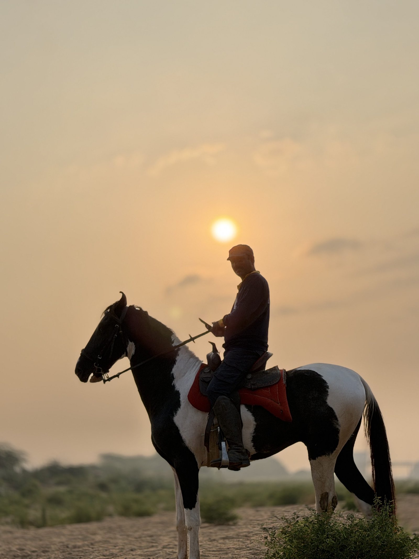 Trainer on a pinto horse silhouetted against a Trichy sunset
