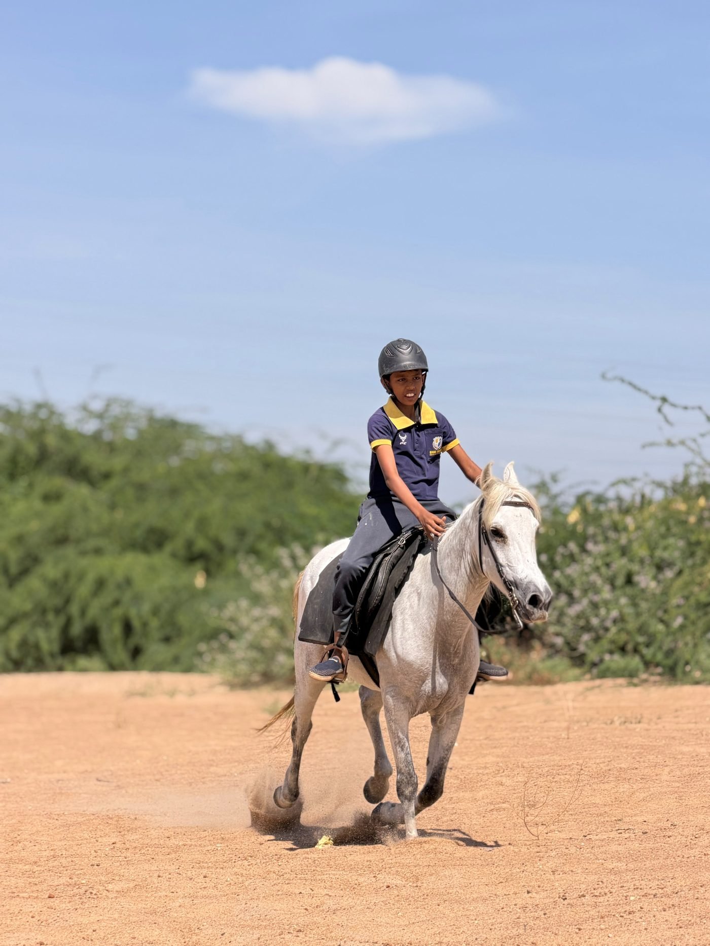 Young rider in Save Native Horses Trust colours cantering a grey horse