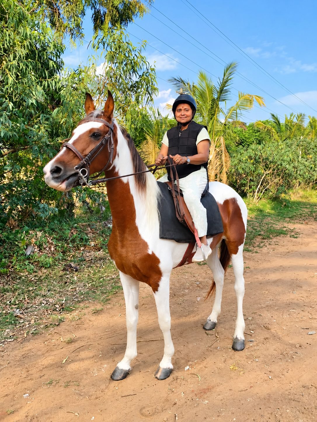 Rider on a pinto native horse along a palm-lined trail