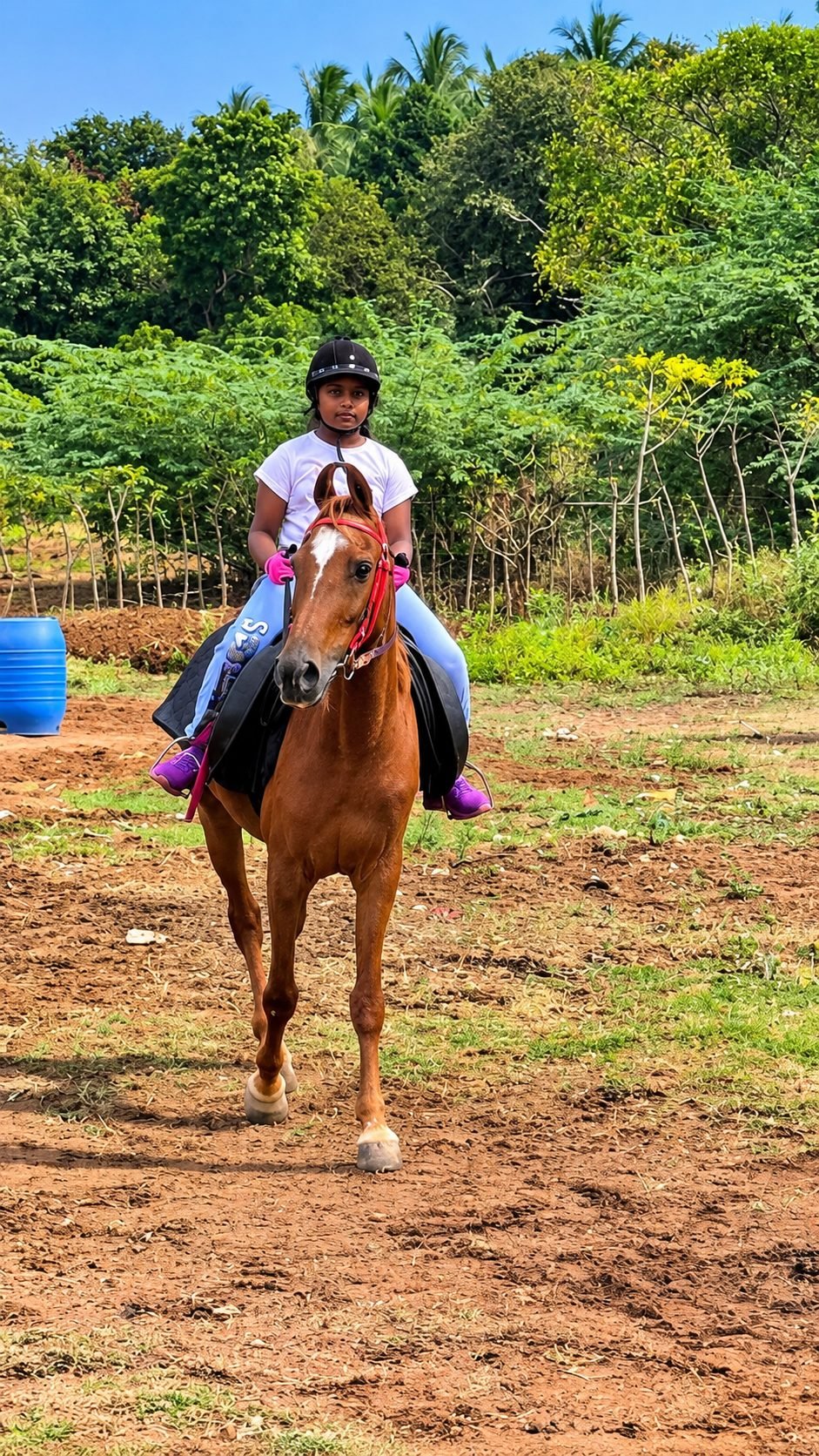 Young rider trotting a native horse during a training session